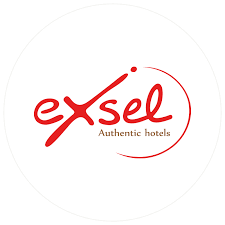 logo EXSEL