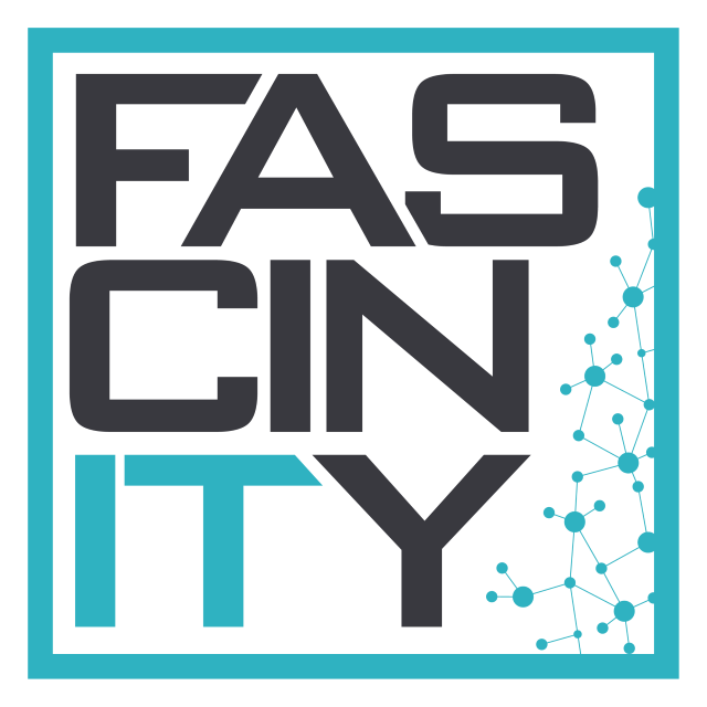 logo Fascinity