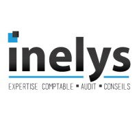 logo INELYS